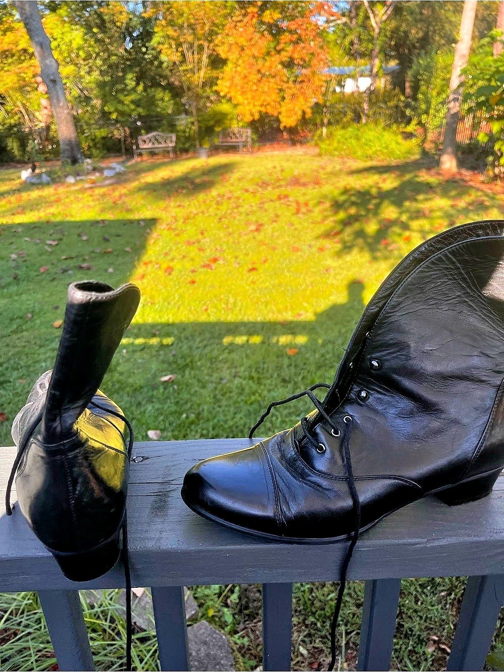 Victorian Lace-Up Boots/Granny Boots